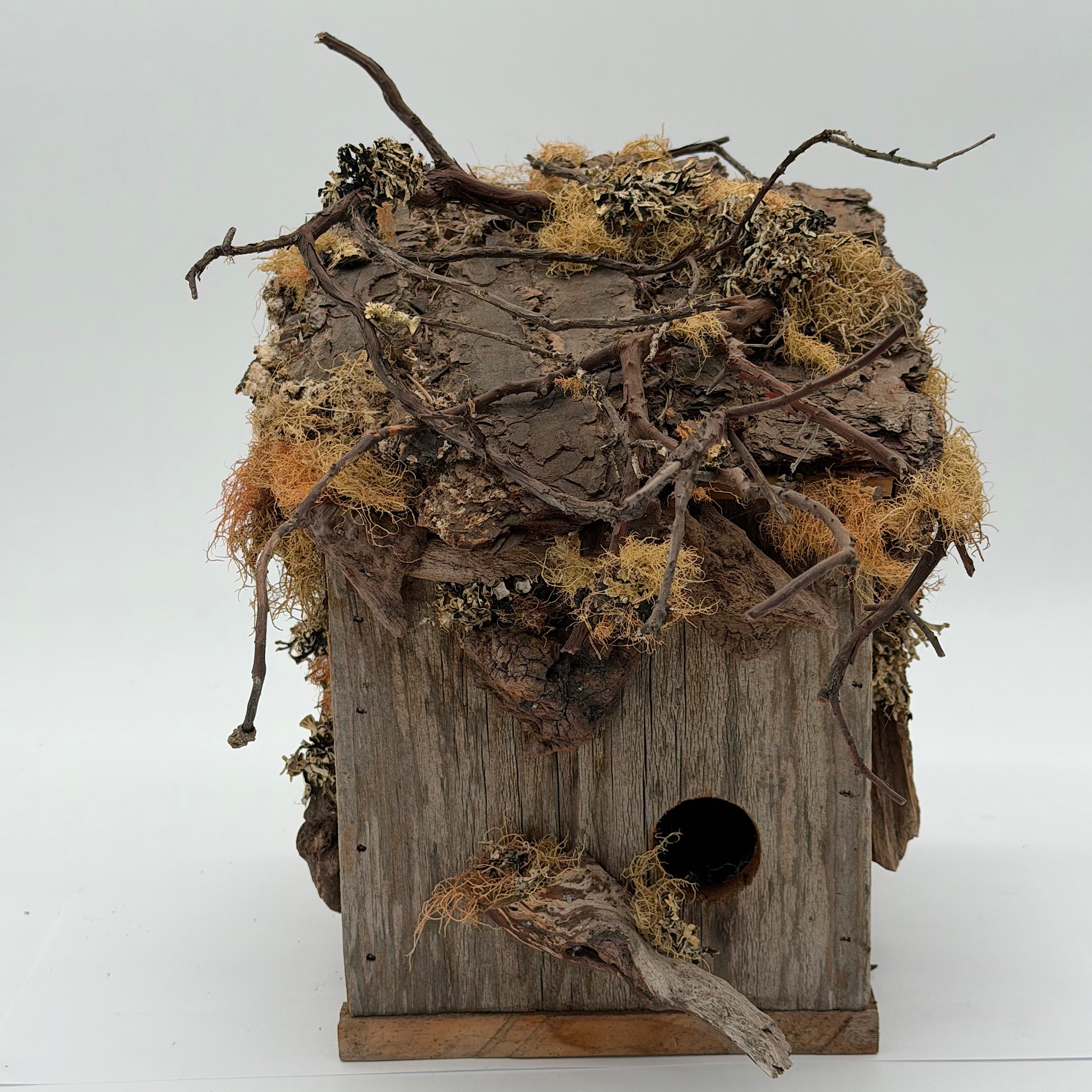Bird House #30