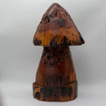 Mushroom #1