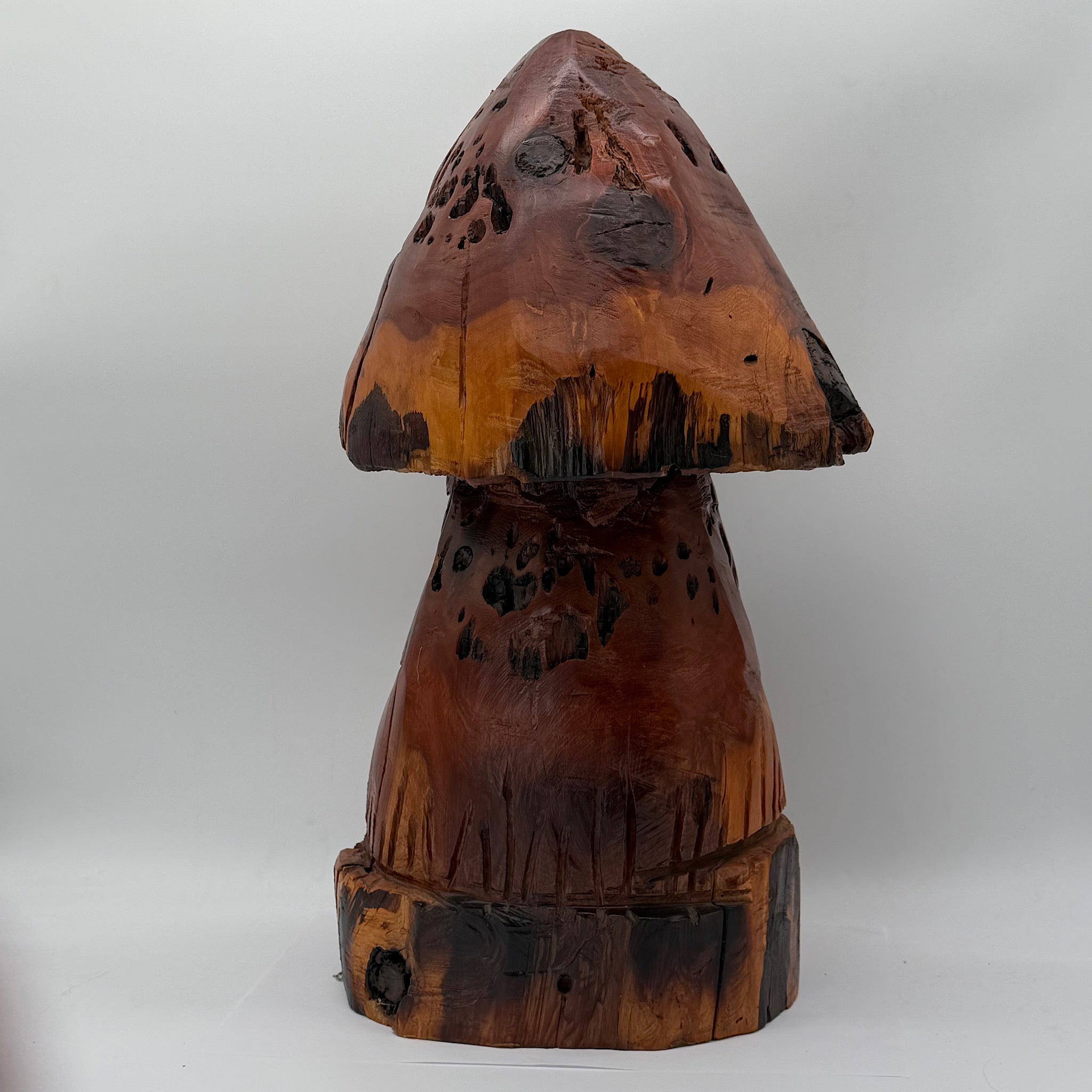 Mushroom #1