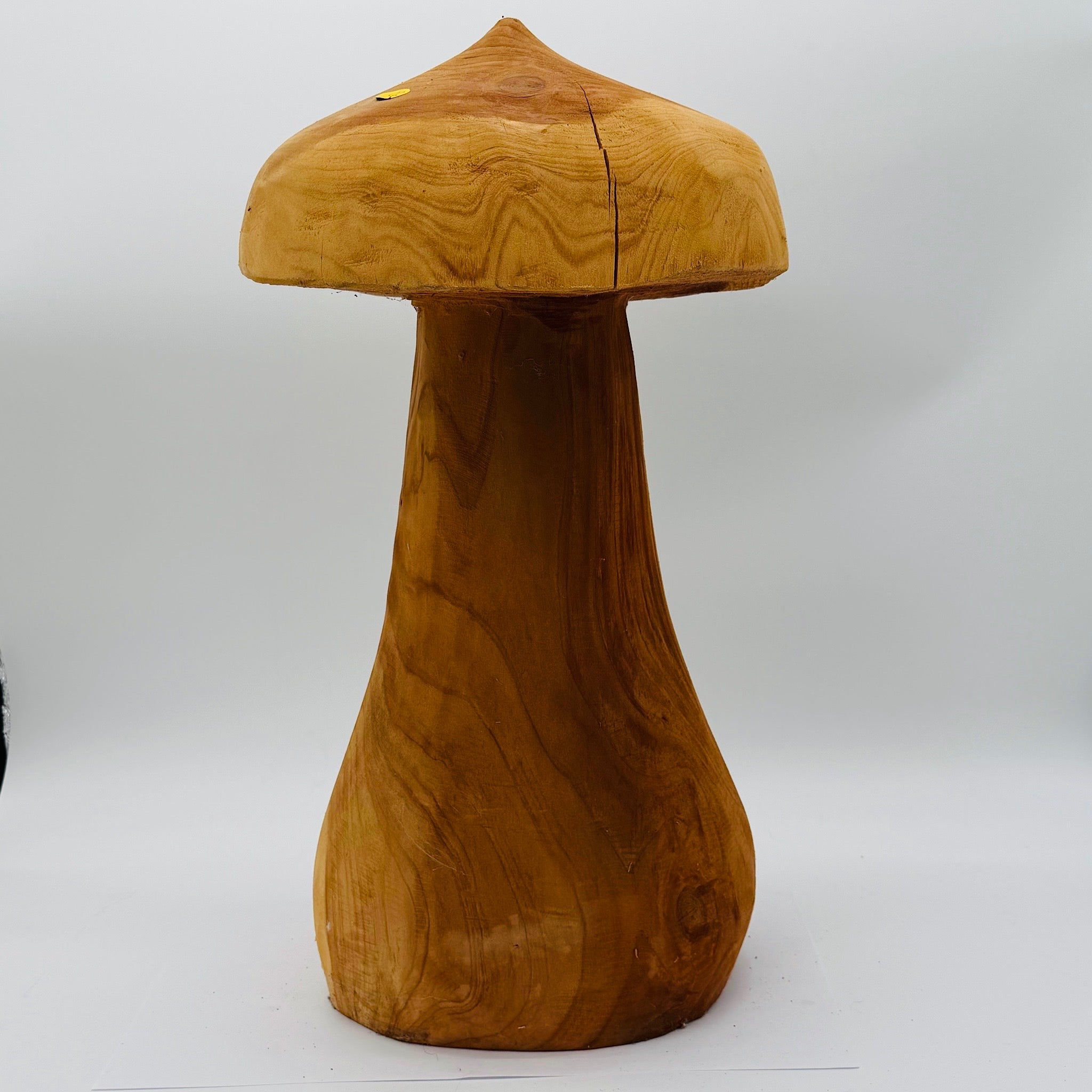 Mushroom #12