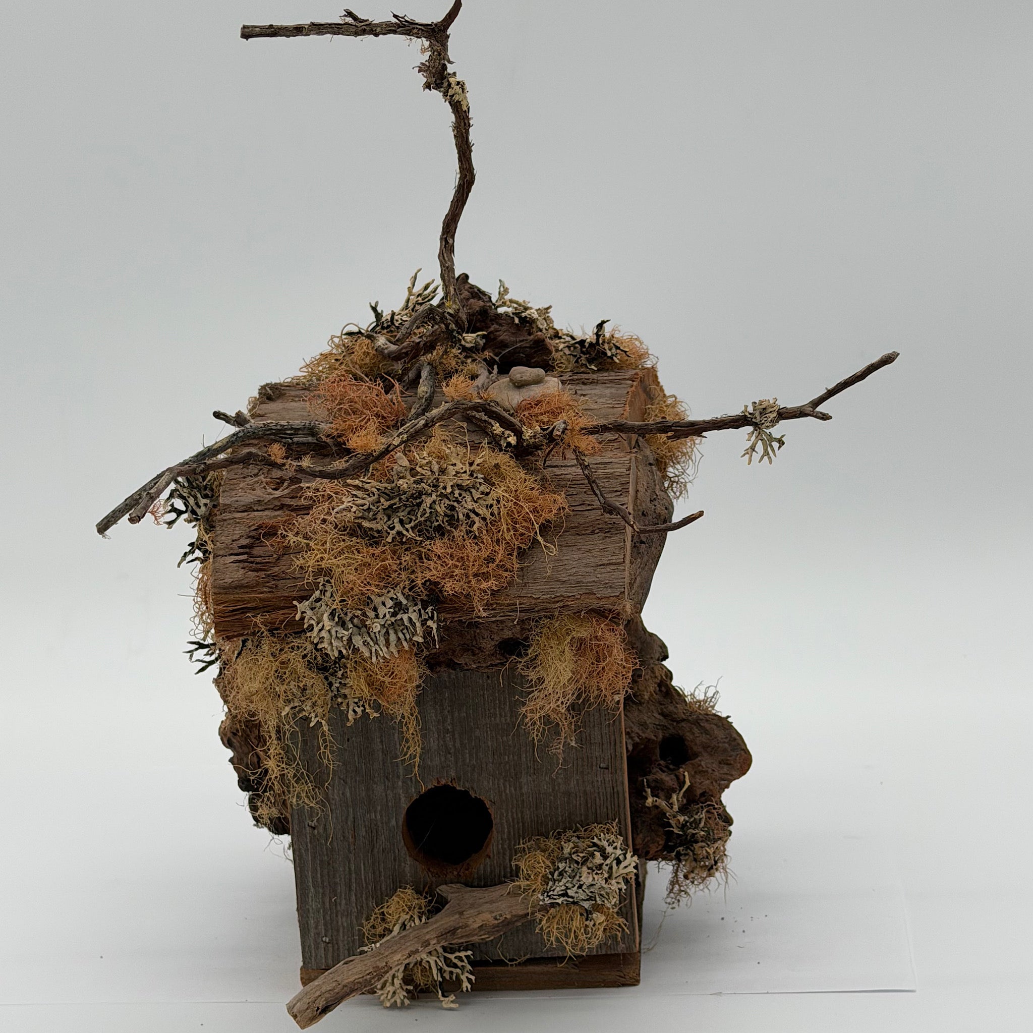 Bird House #29